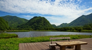 雨晴集團(tuán)員工一起穿越神農(nóng)架感受大自然