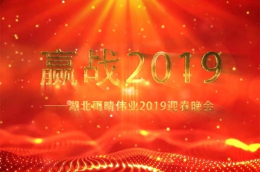 湖北雨晴偉業(yè)2019迎春晚會(huì)